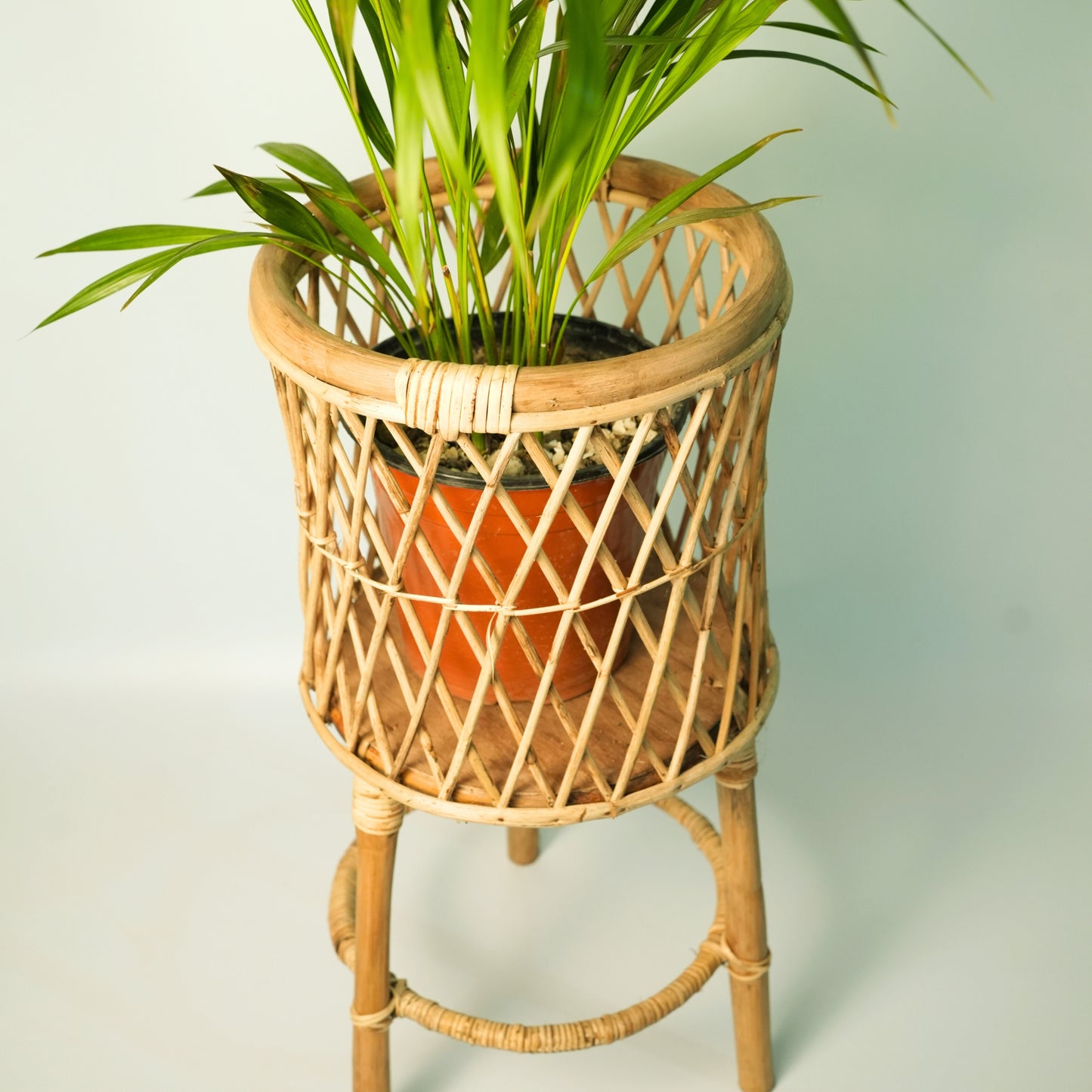 Maati India Cane Planter with Stand